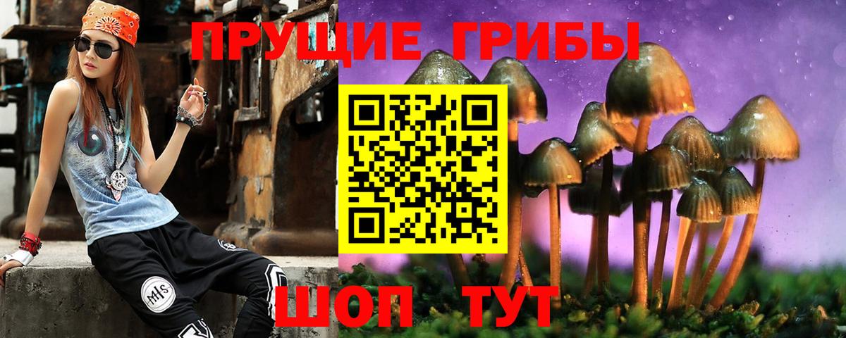Галлюциногенные грибы MAGIC MUSHROOMS Волгодонск