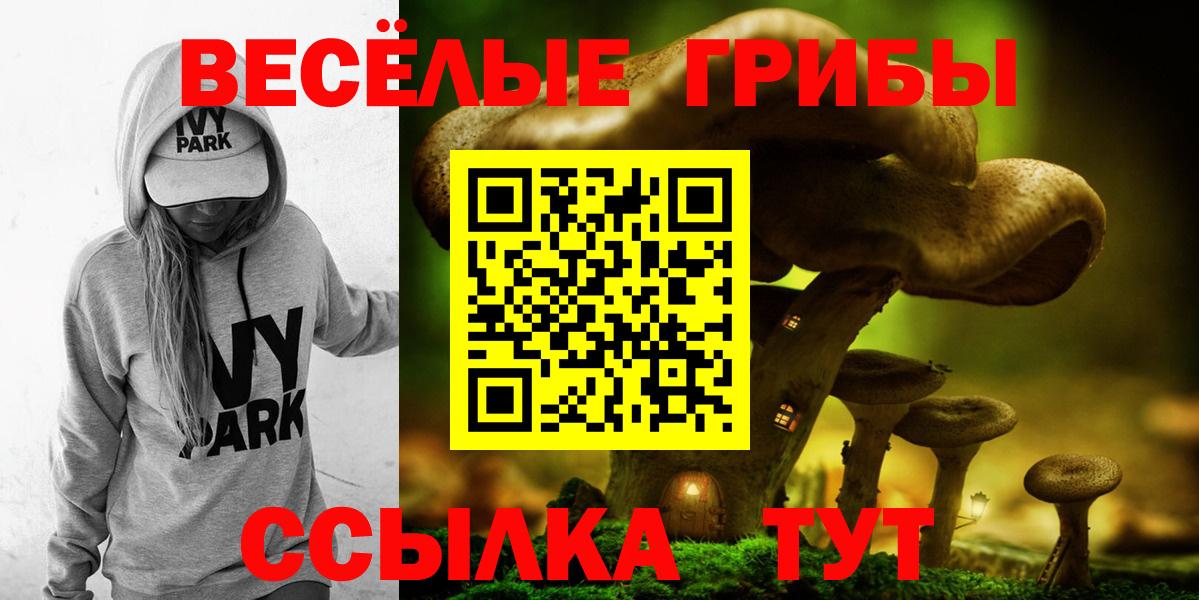 Волгодонск  Галлюциногенные грибы Psilocybine cubensis  Галлюциногенные грибы Magic Shrooms  Вход с VPN 